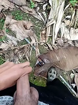 Snapshot of Sikici0734 chatting on 11/13/25, 09:19 Sikici0734 online show from 11/13/25, 09:19