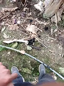 Snapshot of Sikici0734 chatting on 11/19/25, 09:20 Sikici0734 online show from 11/19/25, 09:20