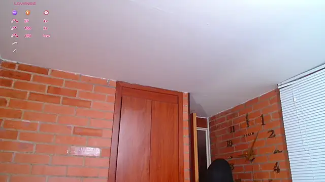 Snapshot of Salome-sw chatting on 02/02/25, 01:02 Salome-sw online show from 02/02/25, 01:02