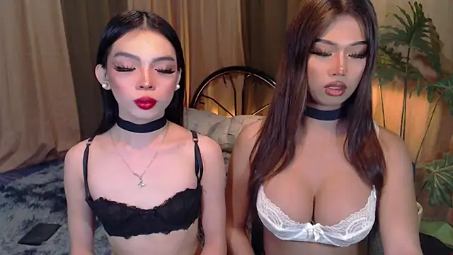 TWINKTRANSSHANEL online show from 10/06/25, 04:21