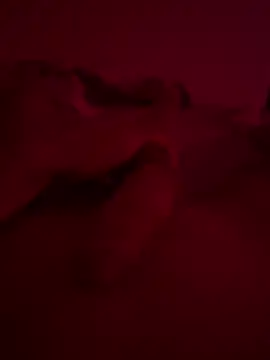 Snapshot of nieonixpeek19 chatting on 02/02/26, 09:13 nieonixpeek19 online show from 02/02/26, 09:13