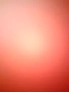 marcojans online show from 12/02/25, 03:51