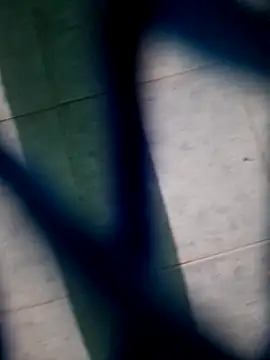 Neilhot98 online show from 11/16/25, 07:03