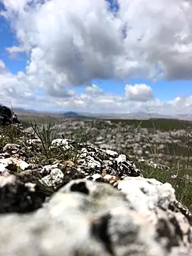 Sert erkek21 ysm online show from 03/31/26, 09:21