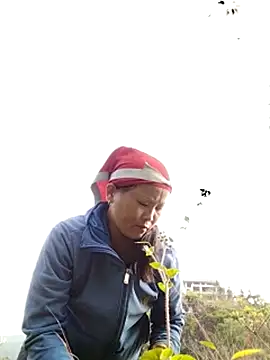 Snapshot of sumaybae chatting on 10/28/25, 01:09 sumaybae online show from 10/28/25, 01:09