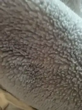 Saif b11b online show from 03/24/26, 10:15