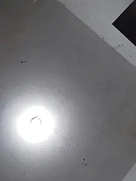  Bella Beth  online show from 11/26/25, 02:34