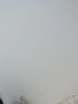  Bella Beth  online show from 12/02/25, 12:49