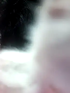 anjali2351 online show from 02/10/26, 02:21