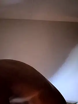 Snapshot of felipelon07 chatting on 11/28/25, 05:10 felipelon07 online show from 11/28/25, 05:10