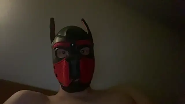 MolleDolle online show from 12/16/25, 07:13