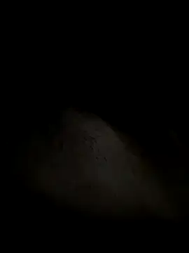 Snapshot of leiteiro2002 chatting on 10/25/25, 02:41 leiteiro2002 online show from 10/25/25, 02:41