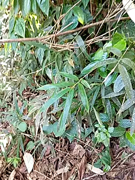 Snapshot of jerry-xx chatting on 10/29/25, 12:57 jerry-xx online show from 10/29/25, 12:57