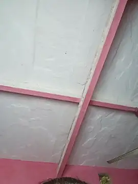 Ut kanchna online show from 11/15/25, 02:35