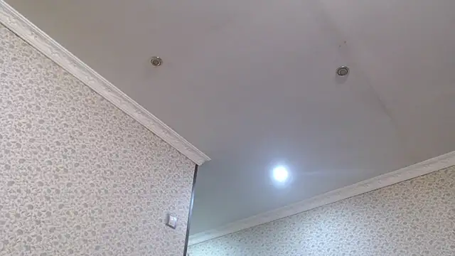 maybe doll online show from 10/21/25, 08:20