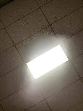 lexuslover687 online show from 04/17/26, 07:11