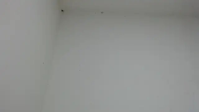 drako monster online show from 01/17/26, 10:46