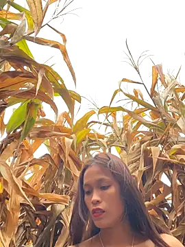 hi-hi-zz online show from 12/18/25, 01:55