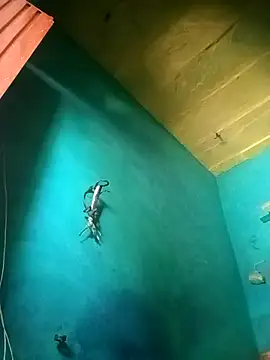 Snapshot of Rt_shreya chatting on 11/21/25, 06:45 Rt shreya online show from 11/21/25, 06:45