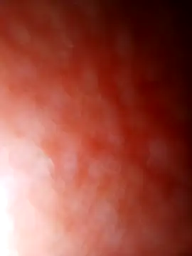 jhbswto online show from 10/30/25, 09:48