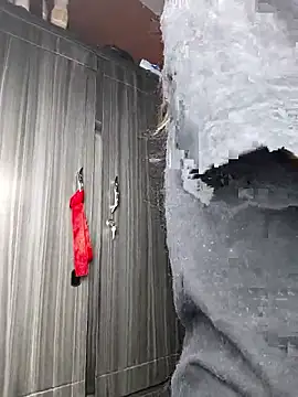 harper ks online show from 01/08/26, 04:04