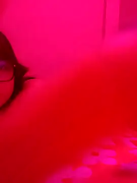 xcodigorojo online show from 11/20/25, 06:57