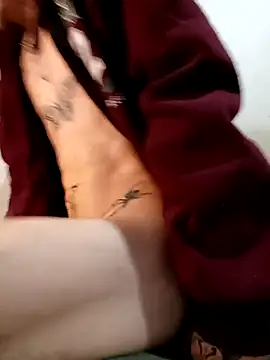 RuivoDotado24cm online show from 11/14/25, 08:46