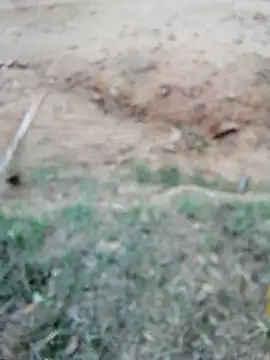 Snapshot of Suga98 chatting on 10/18/25, 12:06 Suga98 online show from 10/18/25, 12:06