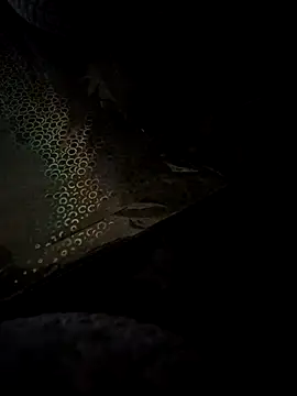 crawlerdrill online show from 05/24/26, 09:14