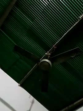 Jessica-03 online show from 12/16/25, 08:25