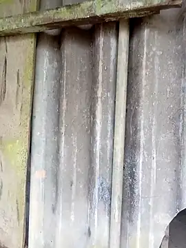 siusiu-00 online show from 02/25/26, 10:14