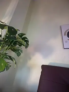 NovaFoxx online show from 02/15/26, 01:52