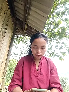 Snapshot of Nguyet2k4 chatting on 11/24/25, 01:49 Nguyet2k4 online show from 11/24/25, 01:49