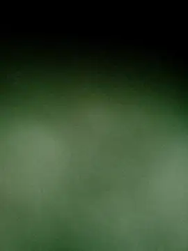 Vickyins480000 online show from 04/09/26, 05:07