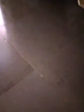 svk 05 online show from 10/14/25, 11:22