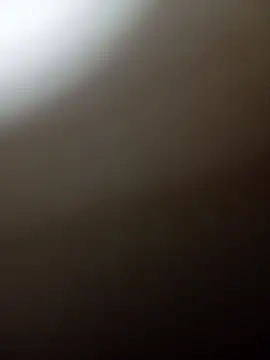 Taradinha pelosogro online show from 02/15/26, 10:28