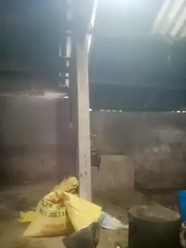 Myzak- online show from 10/18/25, 11:38