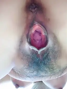 piug321 online show from 02/02/26, 07:34