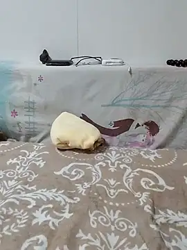 caige8888 online show from 11/17/25, 11:05