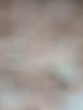 Snapshot of Rajni_chauhan chatting on 10/29/25, 05:04 Rajni chauhan online show from 10/29/25, 05:04