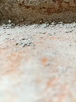 Snapshot of Rajni_chauhan chatting on 11/02/25, 08:11 Rajni chauhan online show from 11/02/25, 08:11