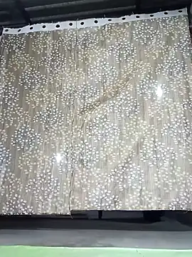 Snapshot of Rajni_chauhan chatting on 11/30/25, 03:49 Rajni chauhan online show from 11/30/25, 03:49