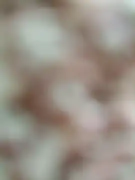 Rajni chauhan online show from 03/19/26, 04:44