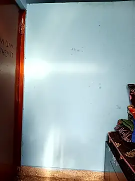 Deepa telugu online show from 04/17/26, 10:40