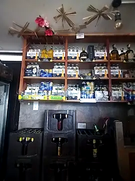 catalella16 online show from 03/10/26, 03:06