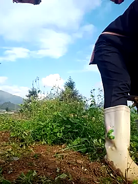 nui-show online show from 11/16/25, 01:44