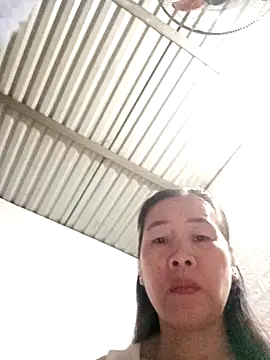 Snapshot of tabby-cat11 chatting on 11/03/25, 01:51 tabby-cat11 online show from 11/03/25, 01:51