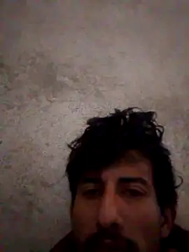 Orlao25cm online show from 02/06/26, 08:01