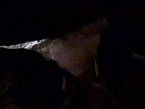 Orlao25cm online show from 03/27/26, 09:36