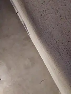 Orlao25cm online show from 04/01/26, 02:14